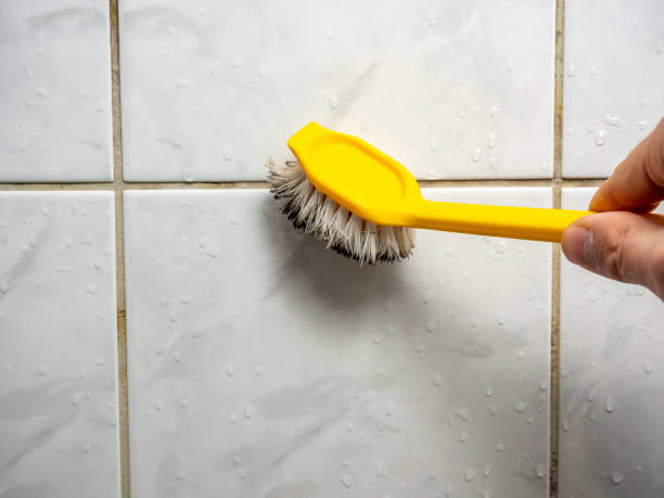 Best Attic Mold Removal  in Millsboro, DE