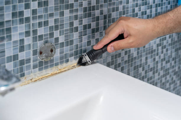 Best Residential Mold Removal  in Millsboro, DE